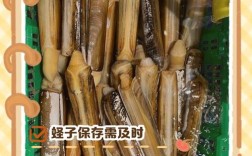 竹蛏子冷藏还是冷冻更保鲜？