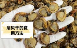 干贝属于海鲜还是河鲜？