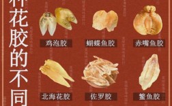 海鲜过敏者能吃花胶吗？