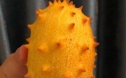 1岁宝宝上火吃什么水果