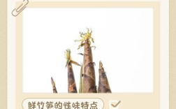 竹笋海鲜同食会中毒吗？