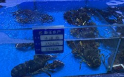 如何打造特色海鲜超市