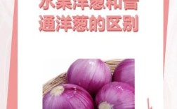 海鲜洋葱同食会中毒吗？