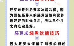 给宝宝做肉泥粥怎么做