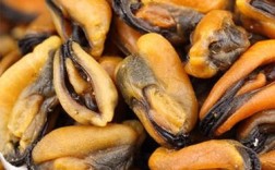 淡菜干怎么做？海鲜做法大全来了！