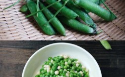 青碗豆家常做法有哪些？