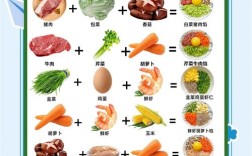 宝宝饺子馅怎么选才健康又营养？