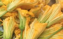 南瓜花怎么做才好吃？