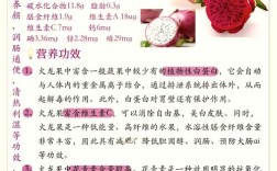 宝宝辅食能吃火龙果吗？