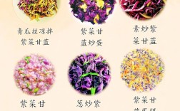 紫甘蓝怎么给宝宝吃才合适？