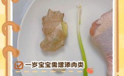 10月龄宝宝鸡肉怎么吃？辅食添加指南？