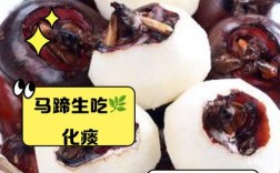 一岁宝宝能吃马蹄吗？会过敏或消化不良吗？