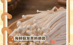 海鲜菇为何发苦？