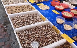 马兰广场附近海鲜市场哪里买最新鲜？