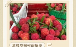 荔枝后多久吃海鲜才安全？