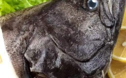 海鲜冻比目鱼头怎么做才Q弹入味？