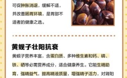 海鲜黄贝内脏怎么清理？