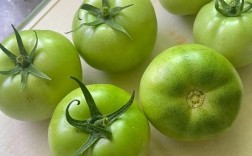 宝宝菜搭配青椒西红柿，营养怎么搭配更合适？