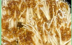 家常炒金针菇做法有哪些？