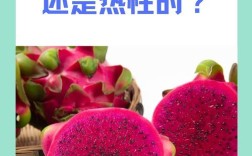 吃过海鲜能吃火龙果吗