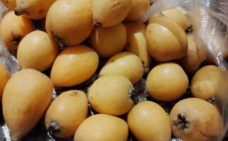 宝宝咳嗽 金桔 枇杷