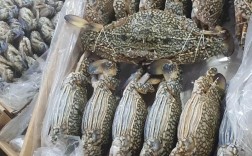 冰上有海鲜？这道菜有何玄机？