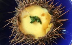 秦皇岛海鲜居海胆蒸蛋，鲜在何处？