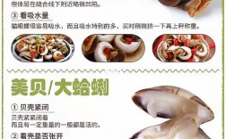 贝壳海鲜哪个季节最肥？