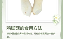 家常鸡腿菇菜谱大全家常做法