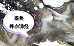 墨鱼做法大全有哪些关键窍门？