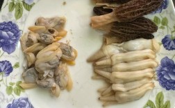 丝瓜海鲜菇怎么做？