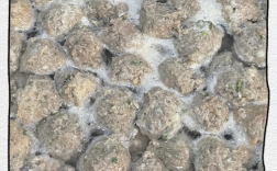 手工牛肉丸怎么做？家常做法大揭秘！