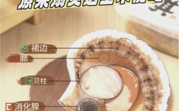 扇贝为何鲜味尽失？