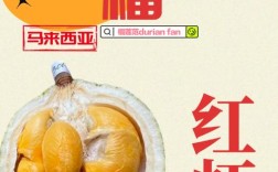 海鲜榴莲同食会中毒吗？