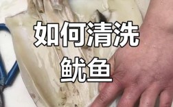 日本鱿鱼处理视频为何让人不适？