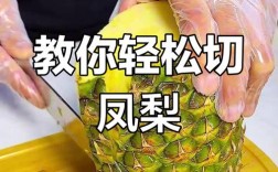 凤梨怎么给宝宝做辅食