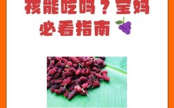 5个月宝宝能吃桑葚吗