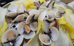 海边小白必吃海鲜有哪些？