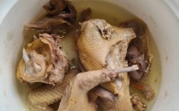 宝宝鸽子汤怎么煮更营养？