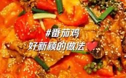 番茄炖鸡的做法大全家常