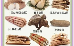 淮山海鲜同食会相克吗？