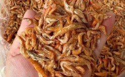 干河虾家常做法有哪些？