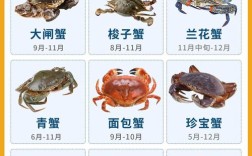 海鲜大闸蟹几月最肥美？