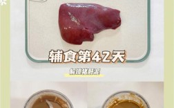 六个月宝宝可以吃猪肝泥吗