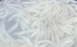 海鲜面疙瘩该用哪种面粉？