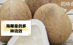 椰子不能和海鲜同吃吗