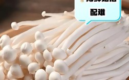 海鲜菇该放冰箱还是常温保存？