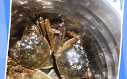 海鲜熟了怎么保存不变质？