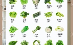 一岁宝宝能吃哪些蔬菜？