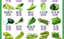 宝宝能吃哪些青菜？有哪些推荐？